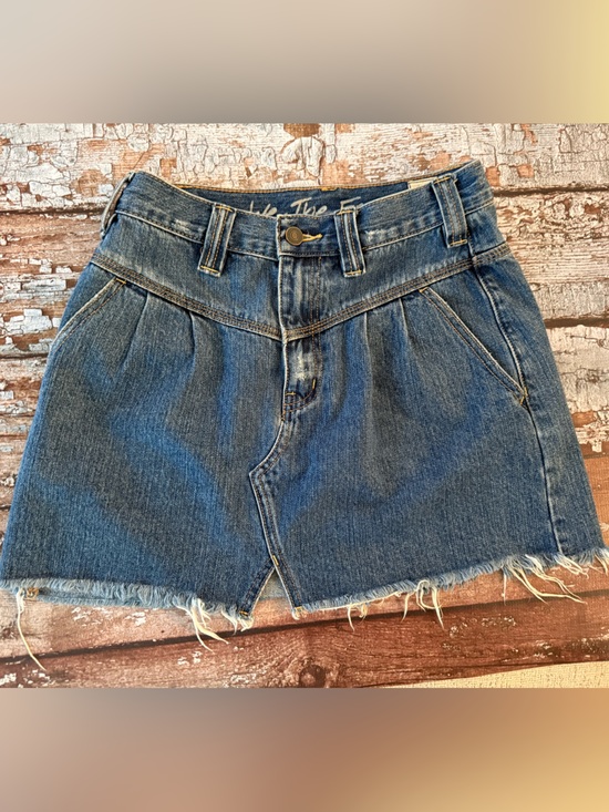 We The Free Dresses & Skirts - We The Free Denim Mini Skirt in Blue 25 waist